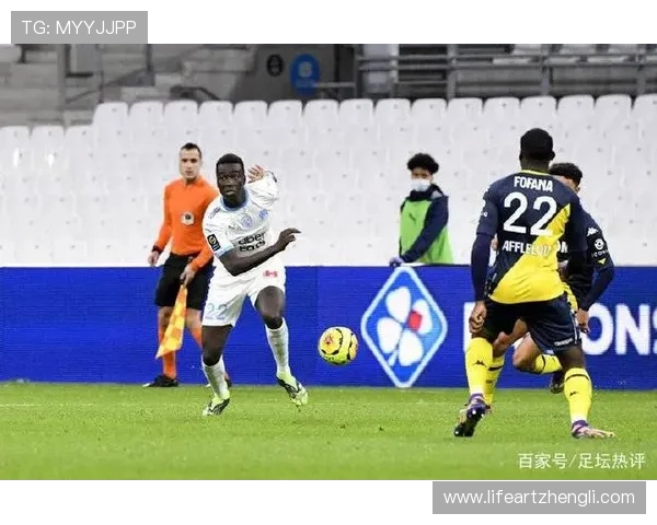 法甲外援市场表现的多维度总结与未来展望